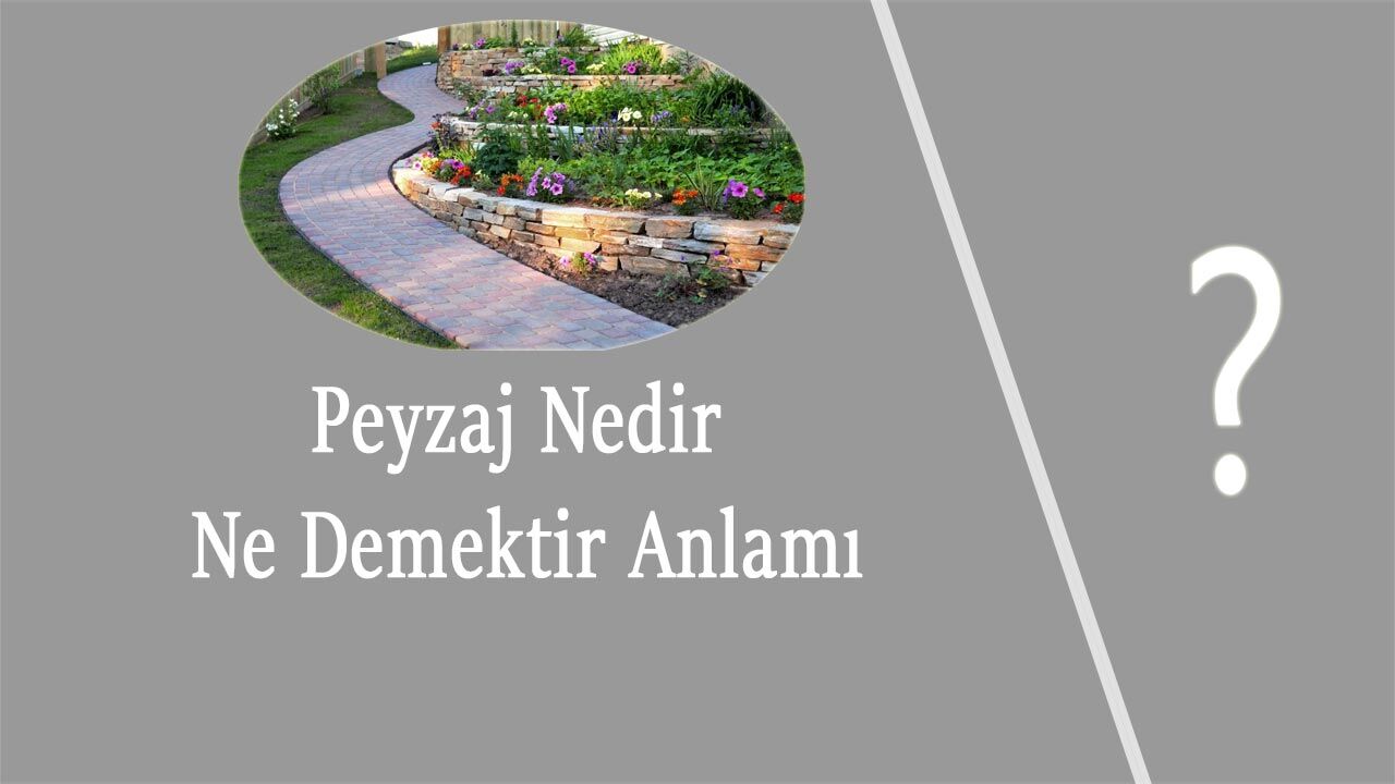 Peyzaj Nedir Ne Demektir Anlamı