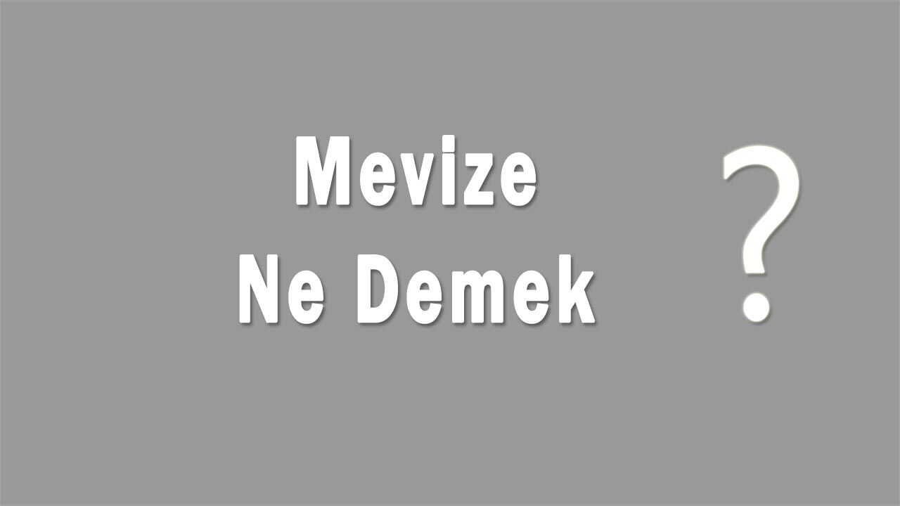 Mevize Nedir Mevize Ne Demek