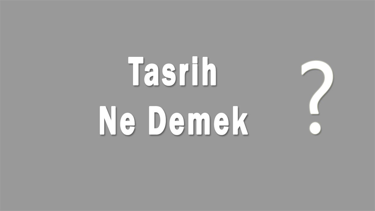 Tasrih Nedir Tasrih Ne Demek