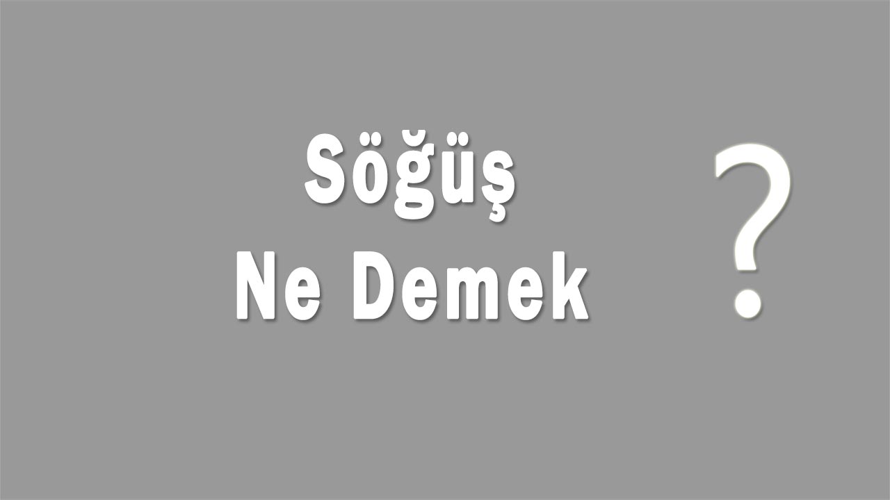Söğüş Nedir Söğüş Ne Demek