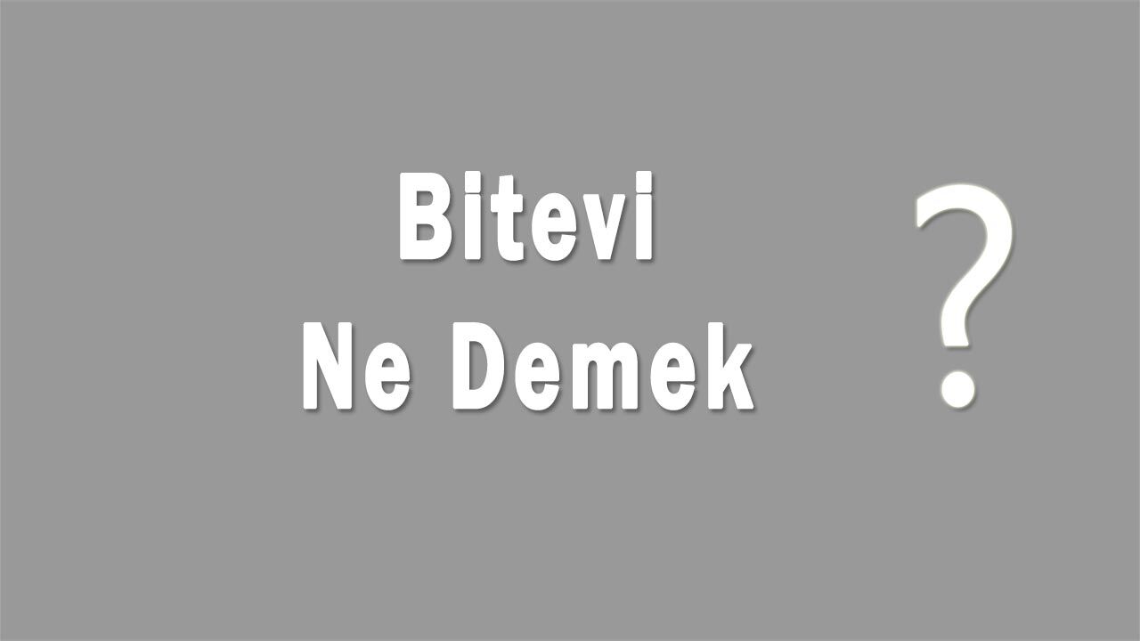 Bitevi Nedir Bitevi Ne Demek