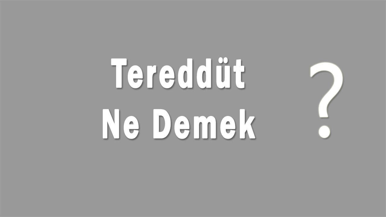 Tereddüt nedir tereddüt ne demek tereddüd