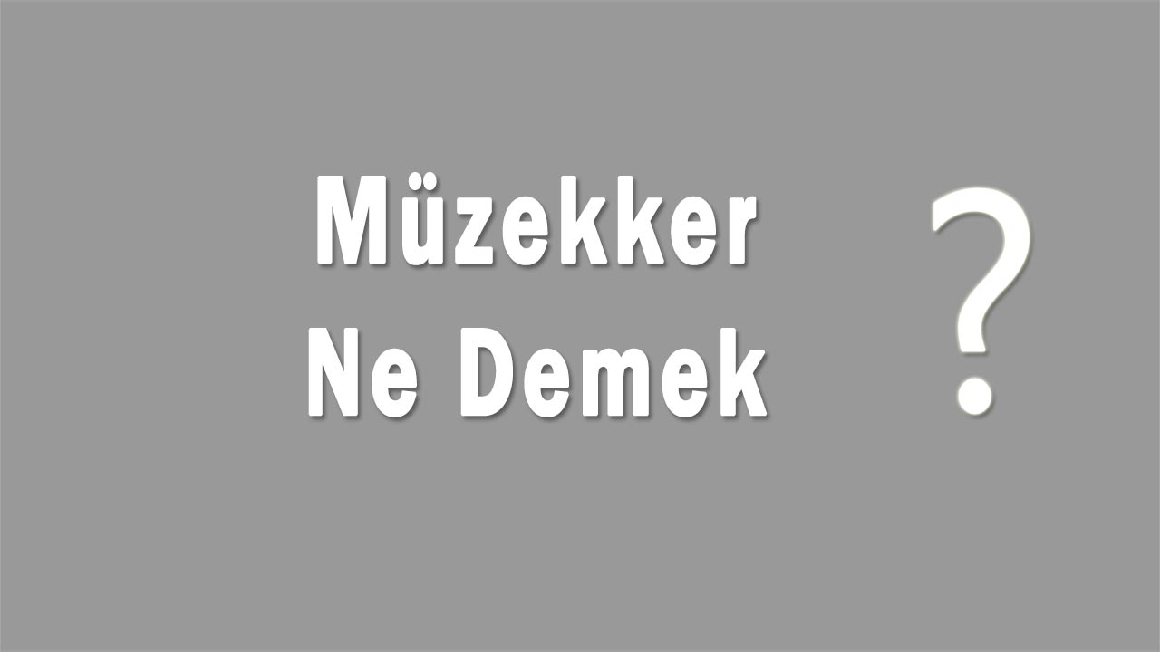 Müzekker Nedir Müzekker Ne Demek