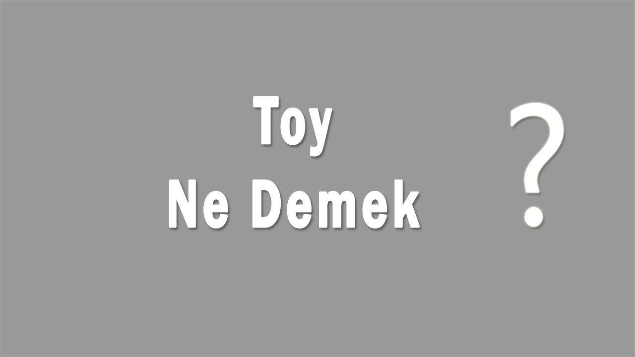 Toy Nedir Toy Ne Demek