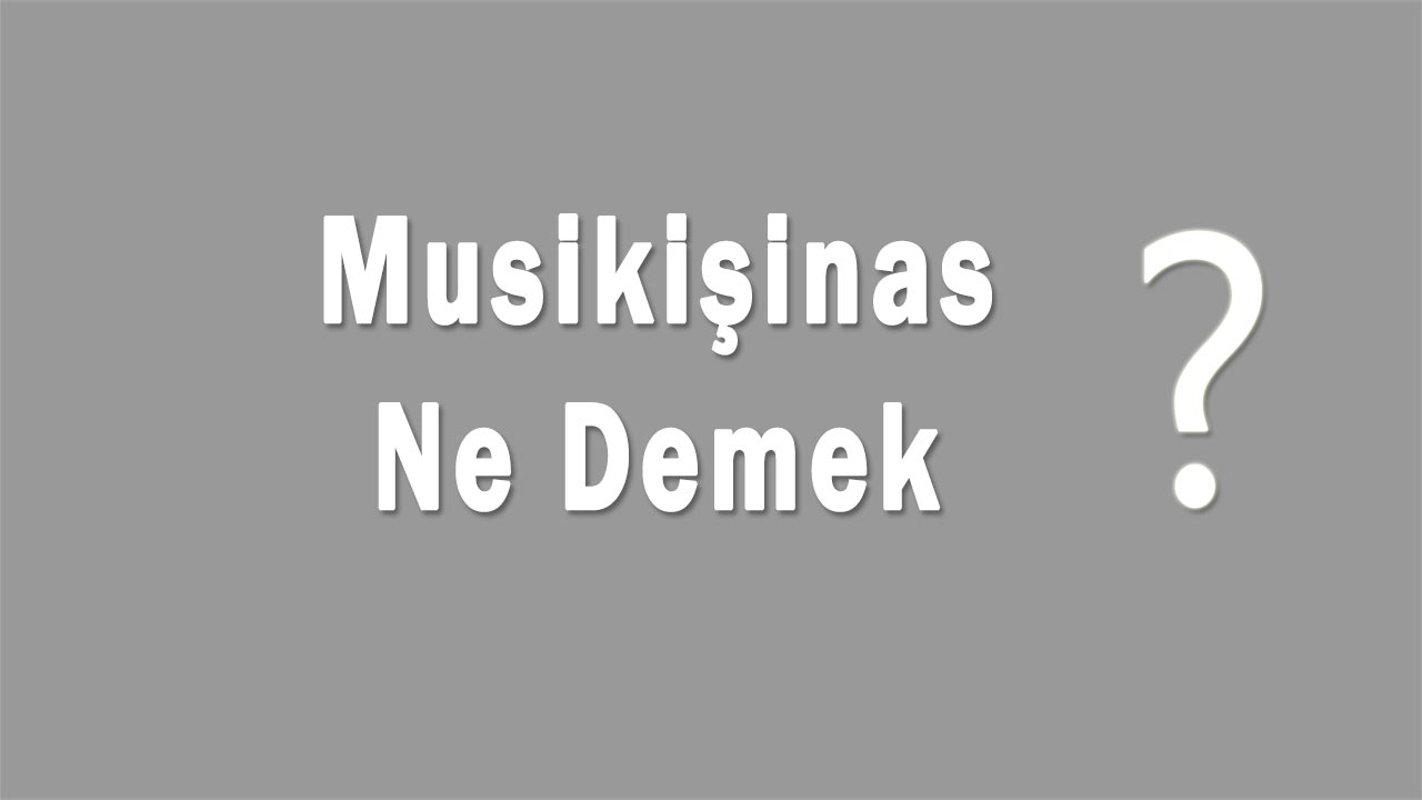 Musikişinas Nedir Musikişinas Ne Demek